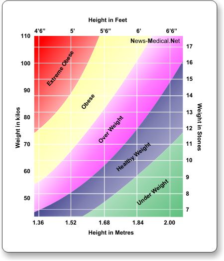 Measuring Obesity