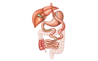 Gastric Bypass Surgery For Weight Loss