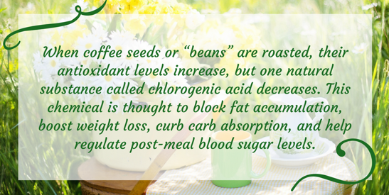 Benefits of Green Coffee: By Dr. Rajyalakshmi